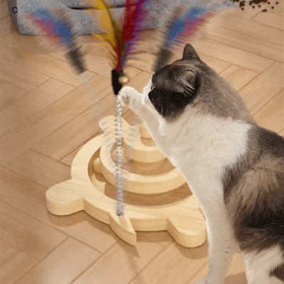 Jouet en Bois - SpinningCatToyâą - Grenouille - Parfaitementchat