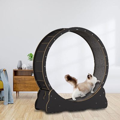 Roue Chat - KittyTreadâą - Noir - Parfaitementchat