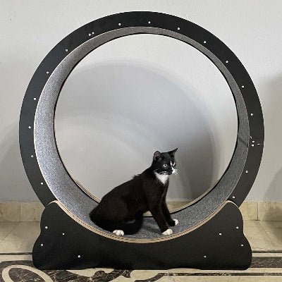Roue Chat - KittyTreadâą - Noir - Parfaitementchat