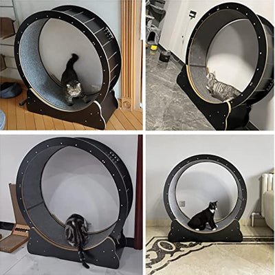 Roue Chat - KittyTreadâą - Noir - Parfaitementchat