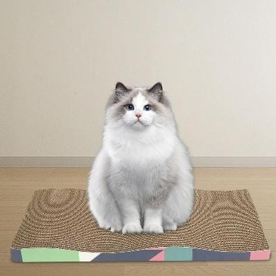 Grattoir Chat - PurrfectScratcherâą - Dune Bleue - Parfaitementchat