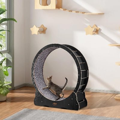 Roue Chat - KittyTreadâą - Noir - Parfaitementchat