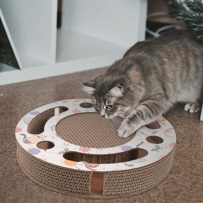 Grattoir Chat - PurrRoundScratcher™ - Chats & Balles - Parfaitementchat