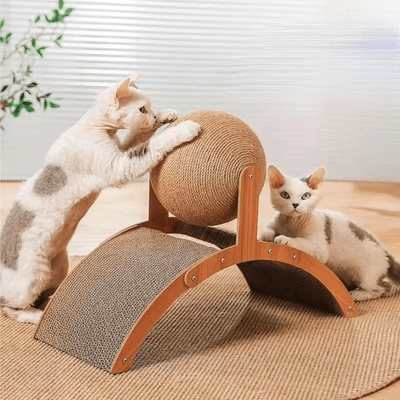 Griffoir pour Chat - Scratch&PlayCatBoard™ - Arc - Parfaitementchat