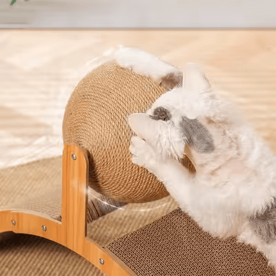 Griffoir pour Chat - Scratch&PlayCatBoard™ - Arc - Parfaitementchat