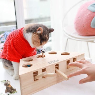 Jouet Interactif Chat - PawHunter™ - 5 Trous - Parfaitement Chat
