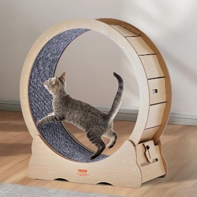 Roue Chat - KittyTread™ - Beige - Parfaitementchat