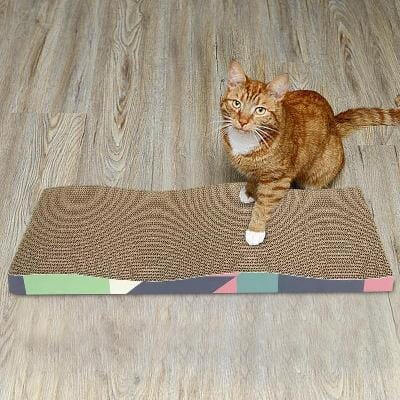 Grattoir Chat - PurrfectScratcher™ - Dune Bleue - Parfaitementchat