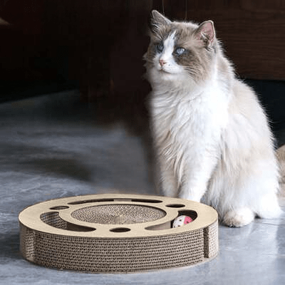 Grattoir Chat - PurrRoundScratcher™ - Minimaliste - Parfaitementchat