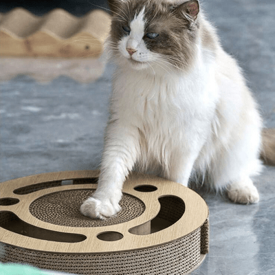 Grattoir Chat - PurrRoundScratcher™ - Minimaliste - Parfaitementchat