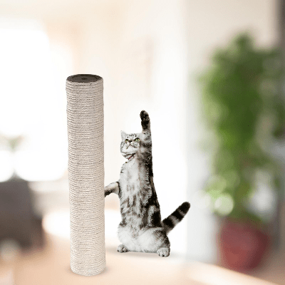 Griffoir Chat - ScratchingPost™ - Beige - Parfaitement Chat